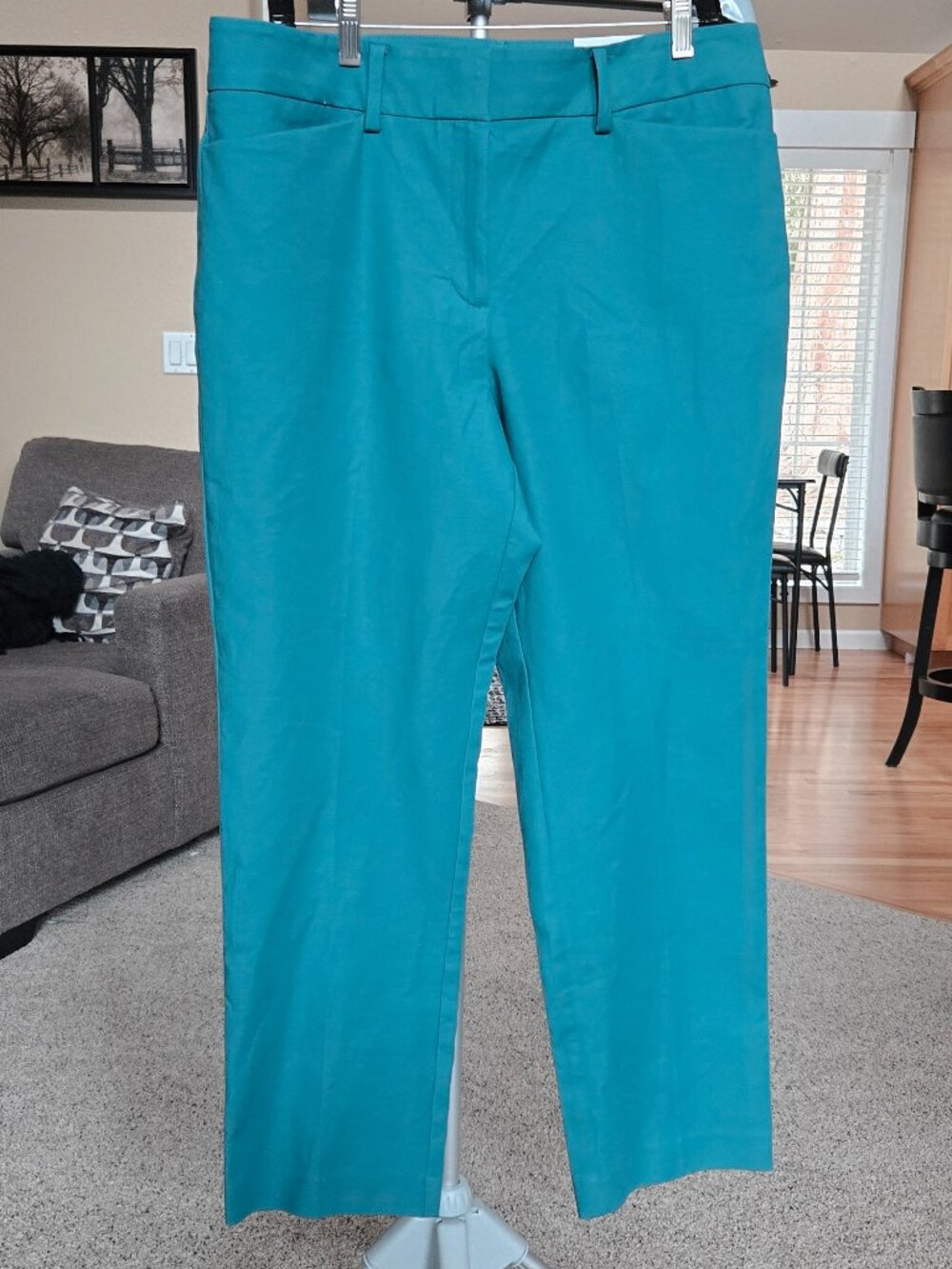 Ann Taylor Factory Teal Cropped Ankle Pants - Picture 2 of 5